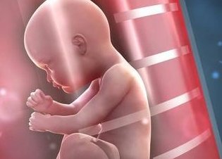 在湘雅做试管费用贵吗？湘雅医院开展了哪些辅助技术