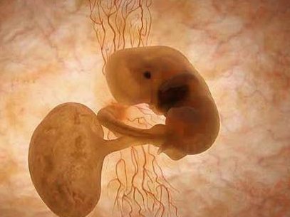 铜川市艾滋病做试管哪家医院好，费用多少钱？