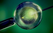 四川成都做三代试管婴儿技术真的好么？患者口碑证明一切