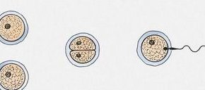 你知道浙江金华三大助孕公司吗？附金华市试管助孕机构详细介绍