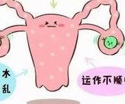 2026扬州苏北人民医院试管成功率揭秘全解析