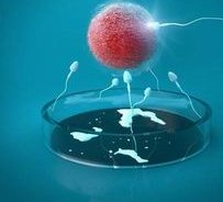 上海试管婴儿价格公布附费用项目与省钱攻略