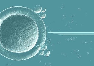 三代试管能生孩子吗(做苏州第三代试管婴儿多少钱)